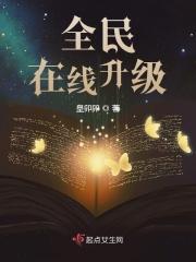 全民等级