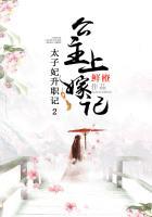 太子妃升职记详情