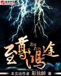 至尊鸿途 80