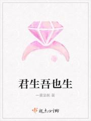 君生吾未生于毅