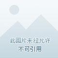主角是开拓领主的