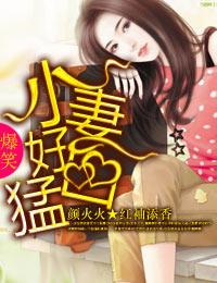 小妻太撩狼性大叔宠上瘾免费阅读