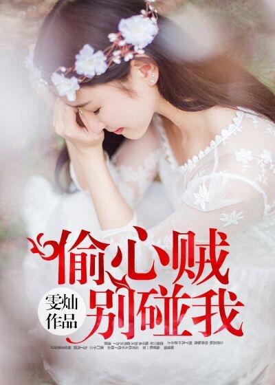 偷心贼百度百科