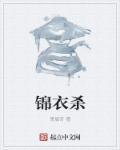 锦衣杀书评
