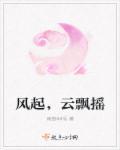 风起云飘兮