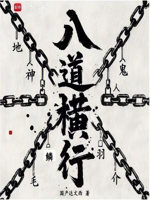 什么叫八横八纵
