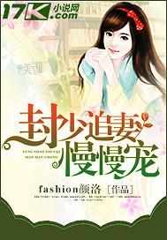 封少追妻路慢慢宠全文阅读