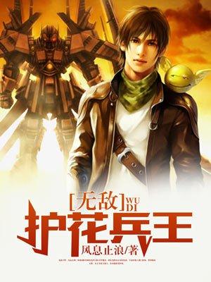 护花兵王 txt
