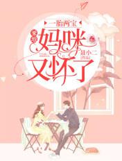 一胎两宝爹地妈咪又怀孕了