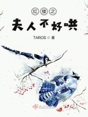 红楼夫人心想事免费