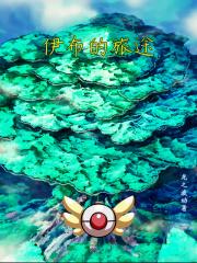 精灵伊布的旅途