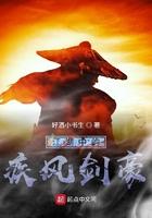疾风剑豪的剑